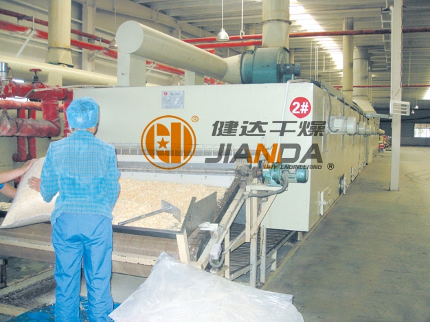 DWC Dehydrated Vegetables Belt Dryer