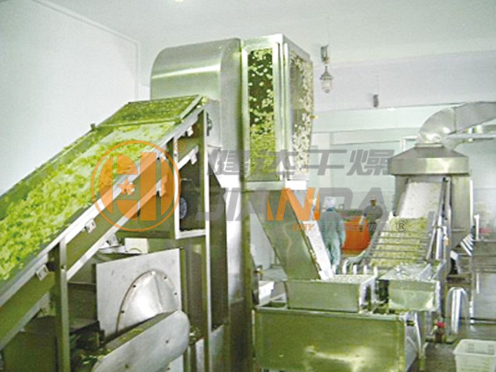 DWC Dehydrated Vegetables Belt Dryer